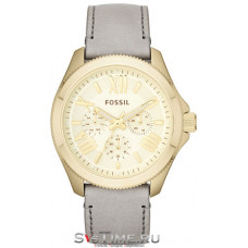 Fossil AM4529