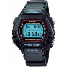 Casio DW-290-1V